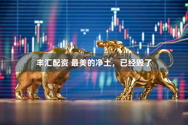 丰汇配资 最美的净土，已经毁了